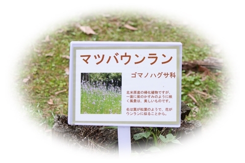 f0340021_17454900.jpg