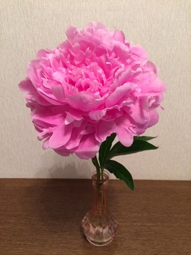 f0028132_1814629.jpg