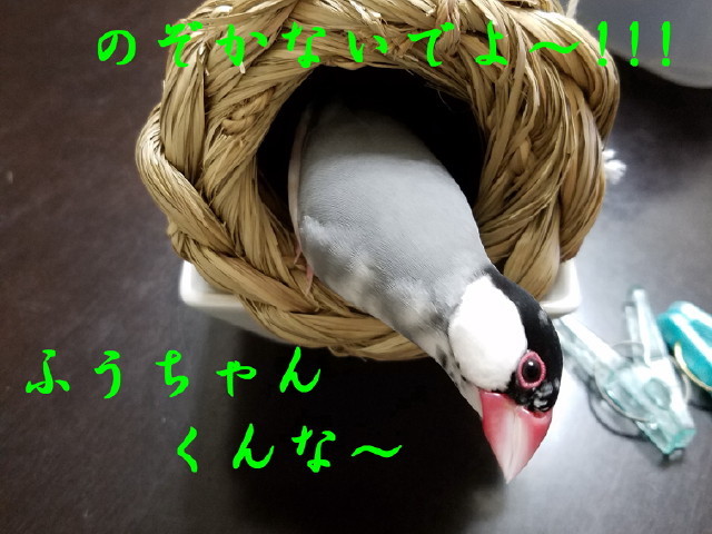 c0365734_21245497.jpg