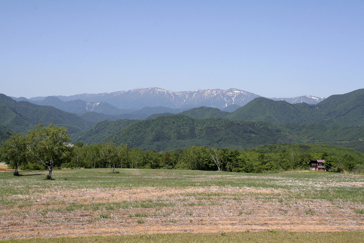 d0012134_10143497.jpg