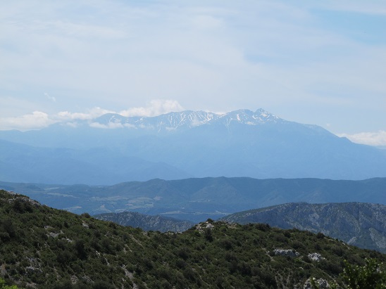 d0167041_6365417.jpg