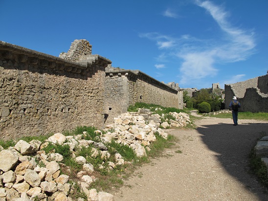 d0167041_651365.jpg
