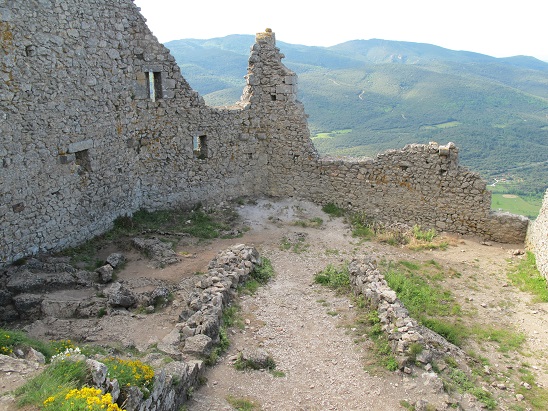 d0167041_65359100.jpg
