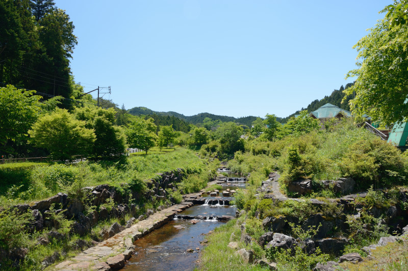 d0164443_19595139.jpg
