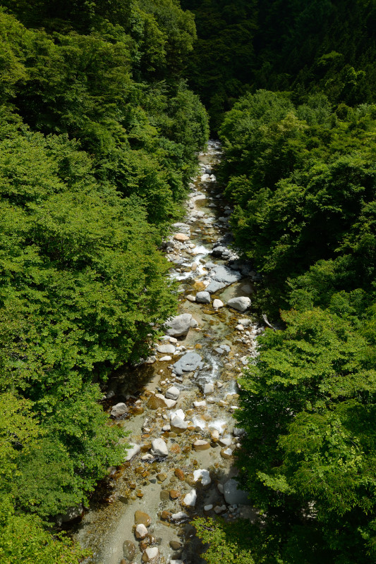 d0164443_2019684.jpg
