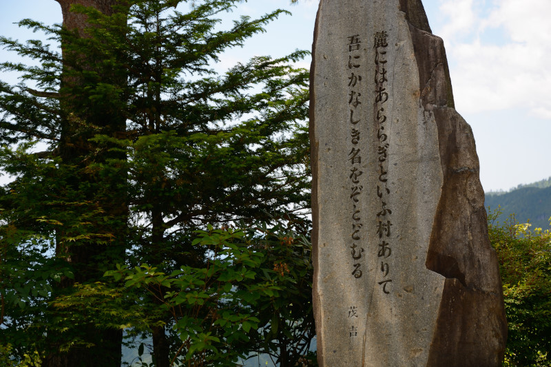 d0164443_2052151.jpg