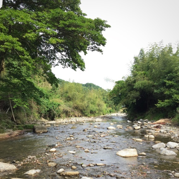 c0312349_19521458.jpeg