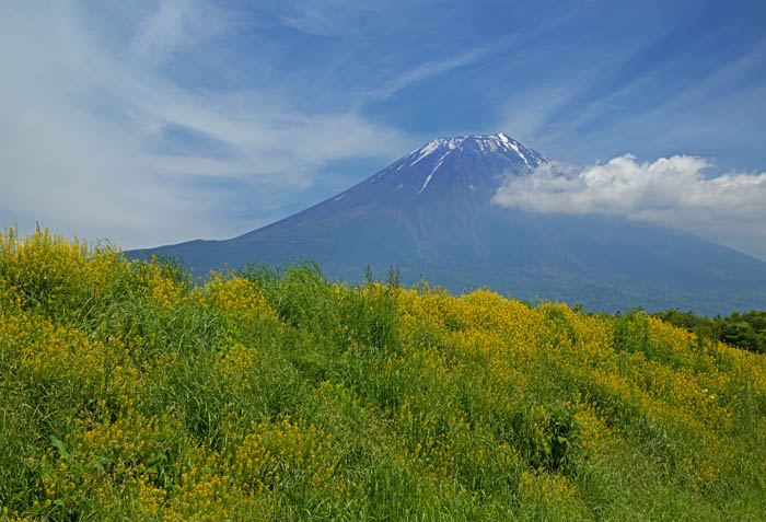 b0355457_6221070.jpg