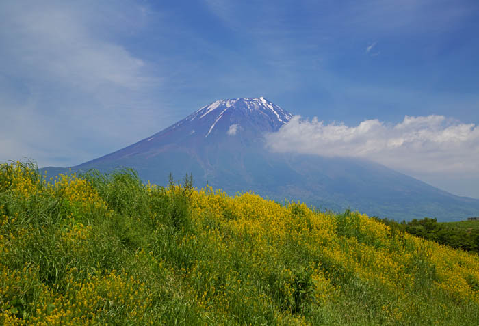 b0355457_6232059.jpg