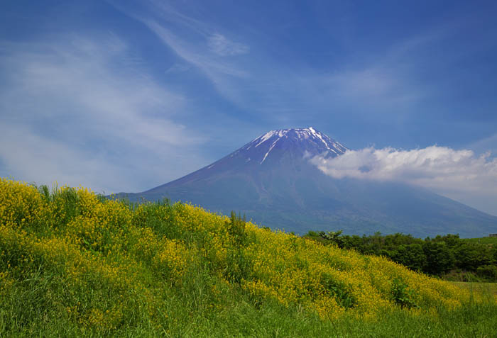 b0355457_624816.jpg