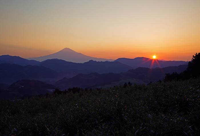 b0355457_64096.jpg