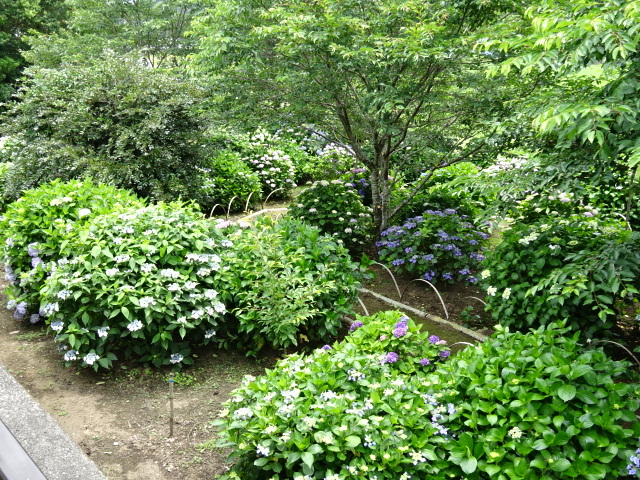 a0241761_22091844.jpg