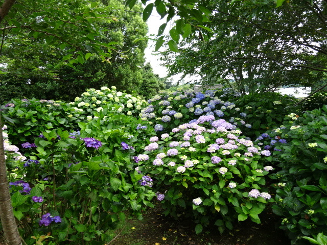 a0241761_22134257.jpg