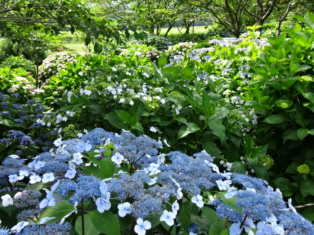 a0241761_22170366.jpg