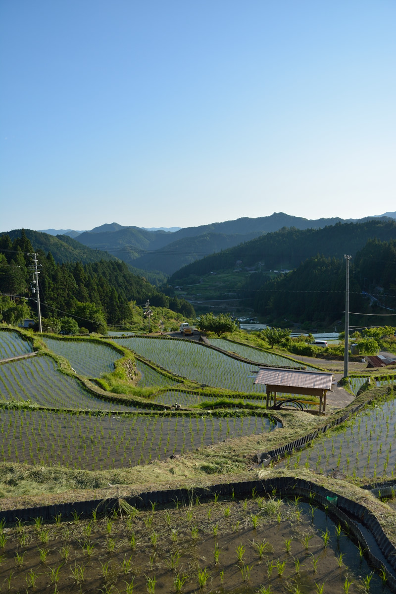 c0367473_20032787.jpg