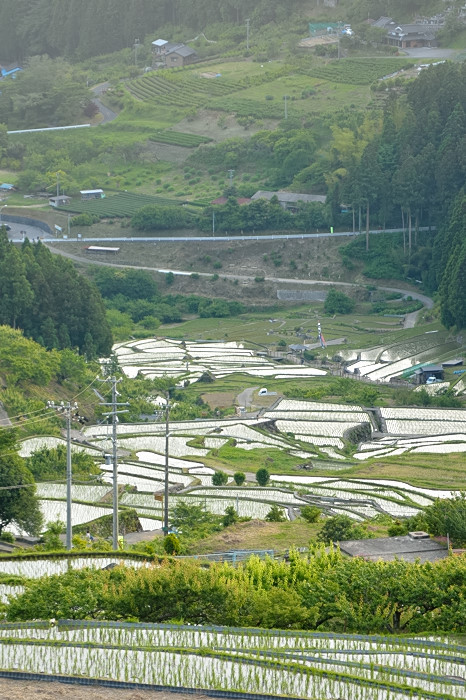 c0367473_20125588.jpg