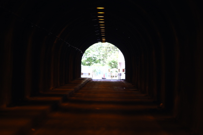 f0310873_14295480.jpg