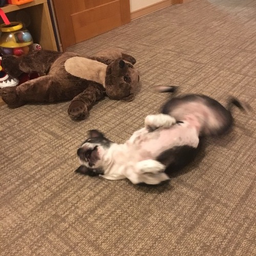 d0041575_21311142.jpeg