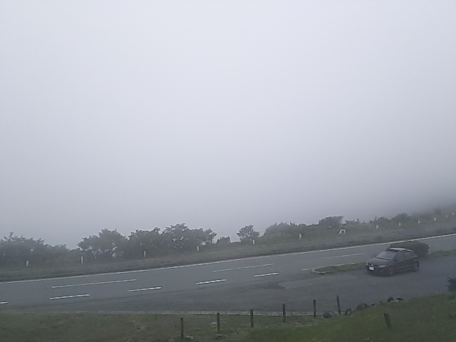 a0229491_14324240.jpg
