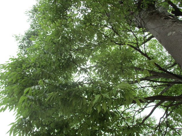 d0333091_20404157.jpg