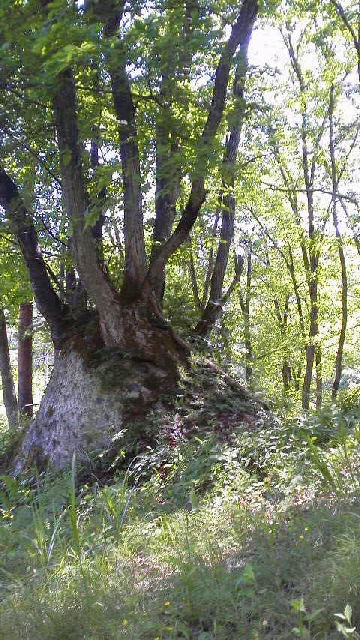 f0016892_13502814.jpg