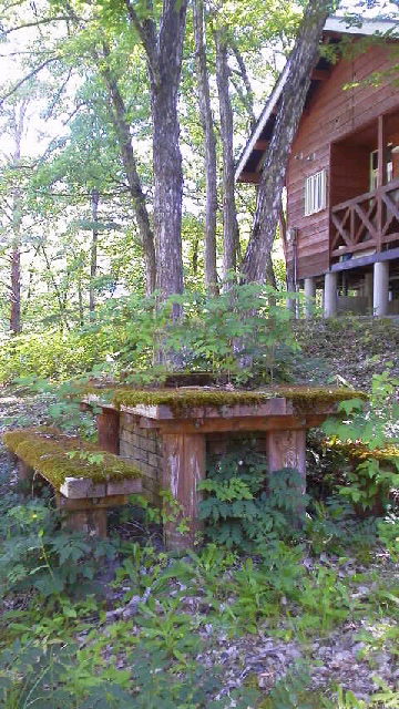 f0016892_1350282.jpg
