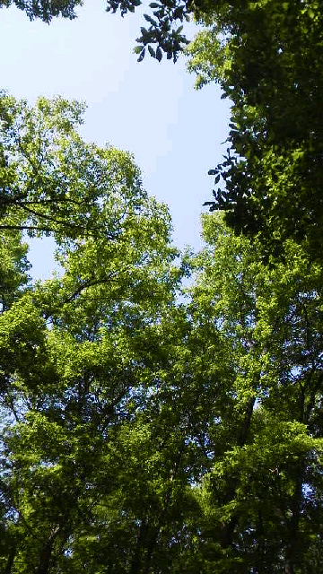 f0016892_13502862.jpg