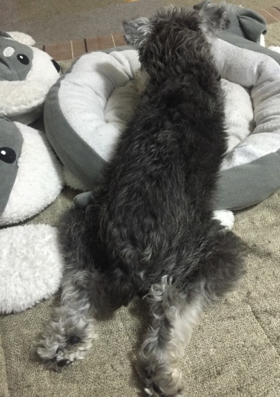 b0188998_22305336.jpeg