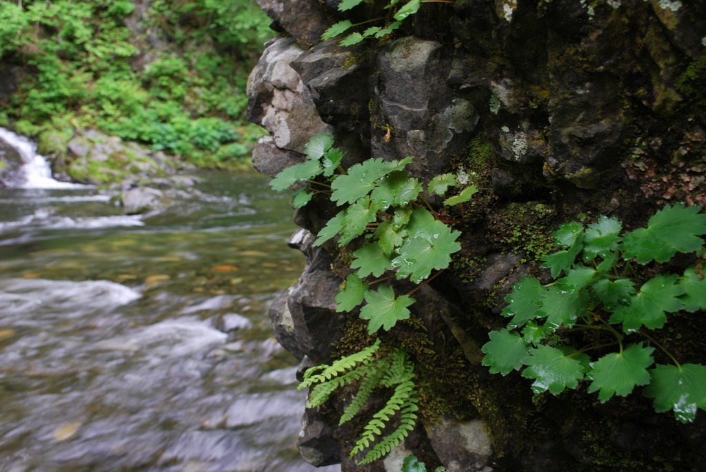 d0051707_21130550.jpg