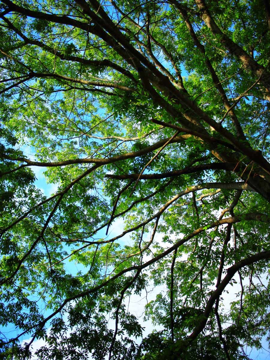 e0009009_11345177.jpg