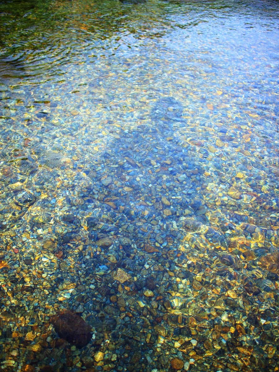 e0009009_11350323.jpg