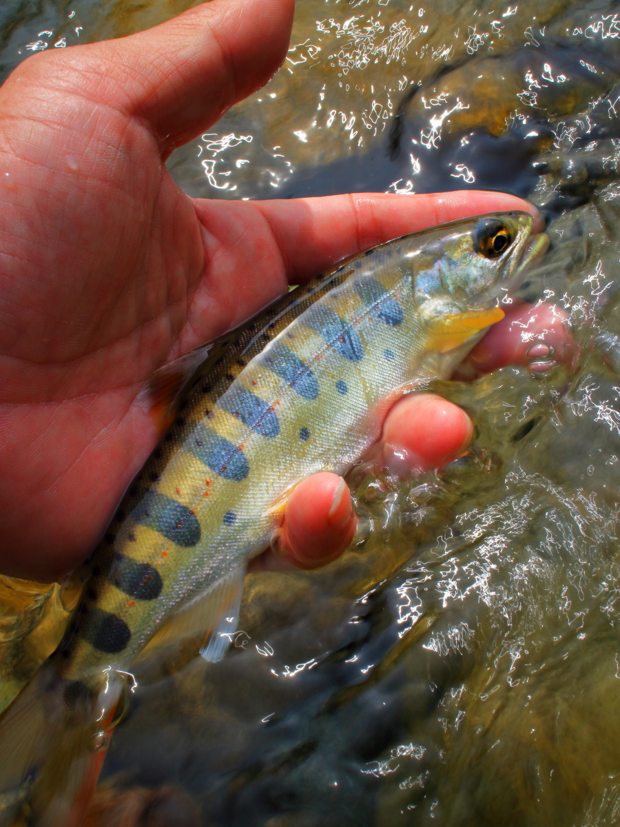 e0009009_11420156.jpg