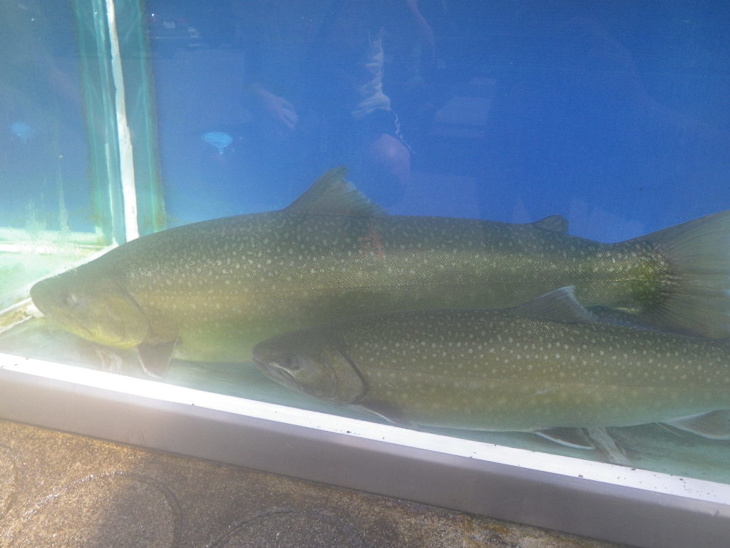 c0232813_09145391.jpg