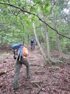 c0359615_10030899.jpg