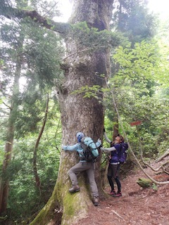 c0359615_10034145.jpg