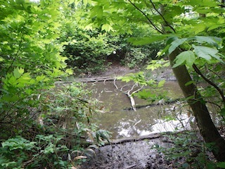 c0359615_10085961.jpg