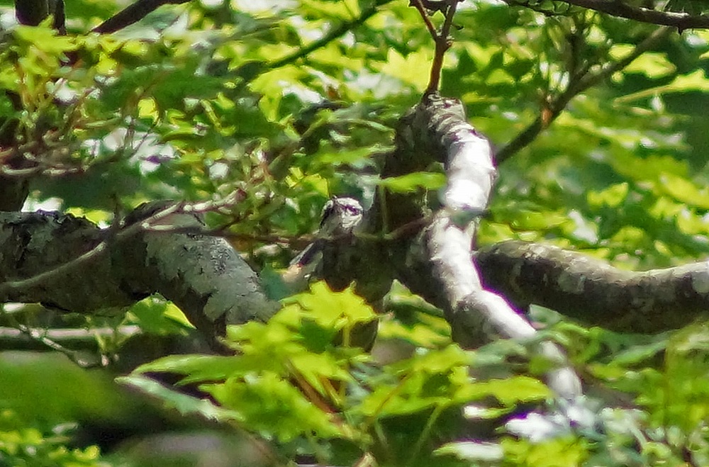c0042418_8502989.jpg