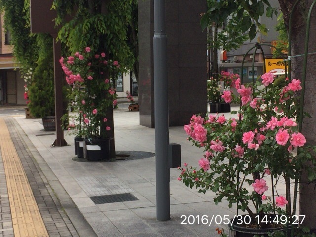 c0087023_21053074.jpg