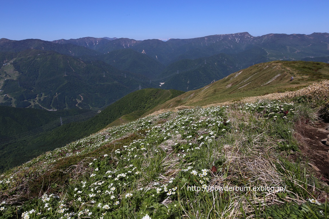b0062024_1020352.jpg