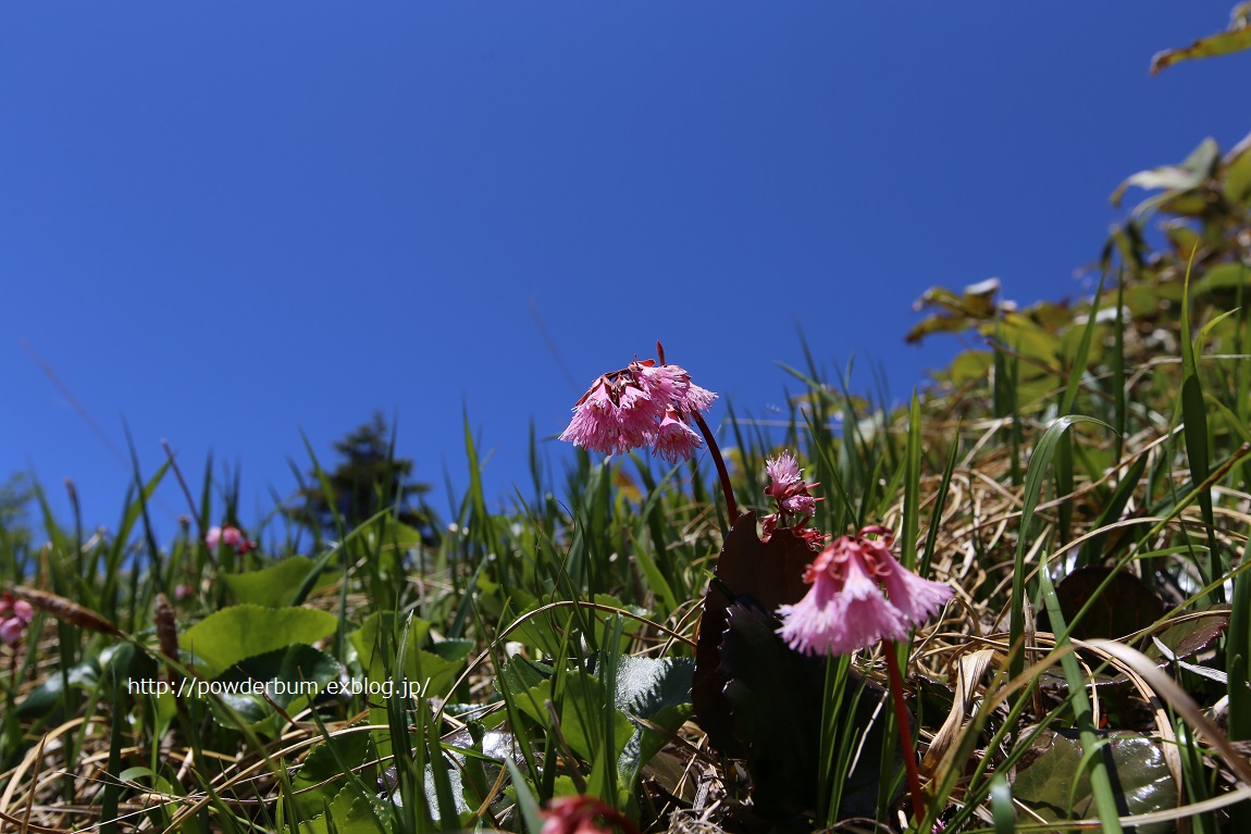 b0062024_10231537.jpg
