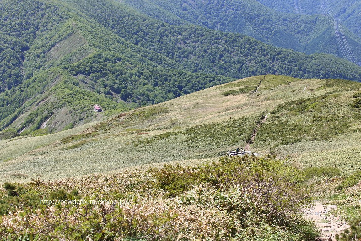b0062024_1023292.jpg