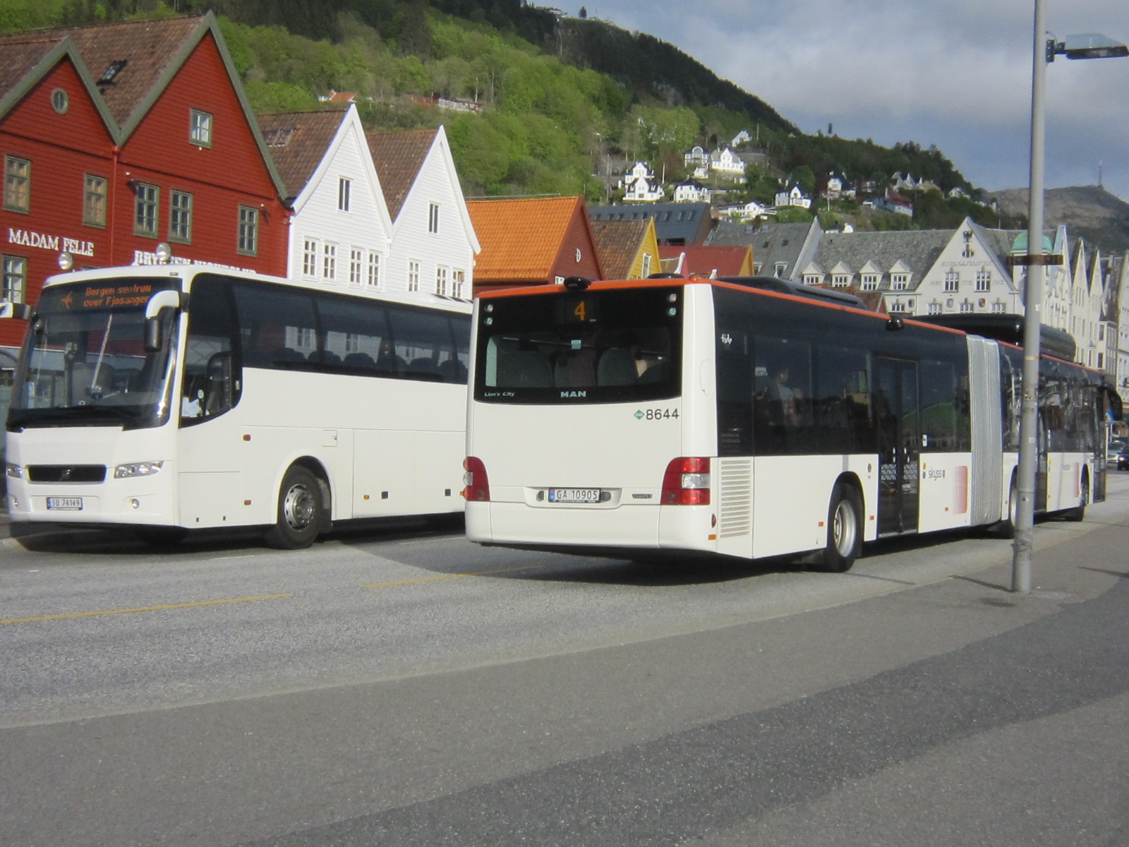 d0162225_171219.jpg