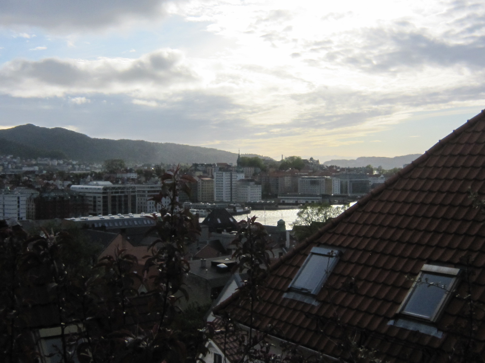 d0162225_1735180.jpg