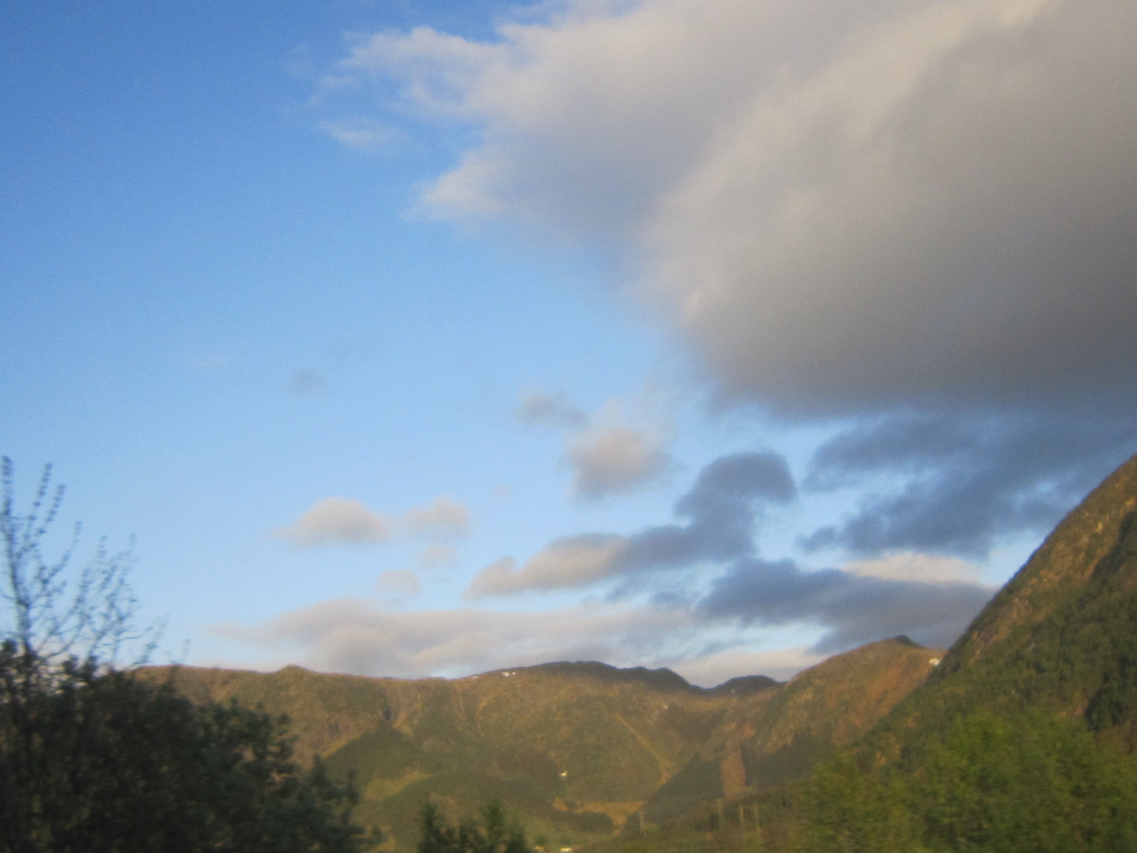 d0162225_1863496.jpg