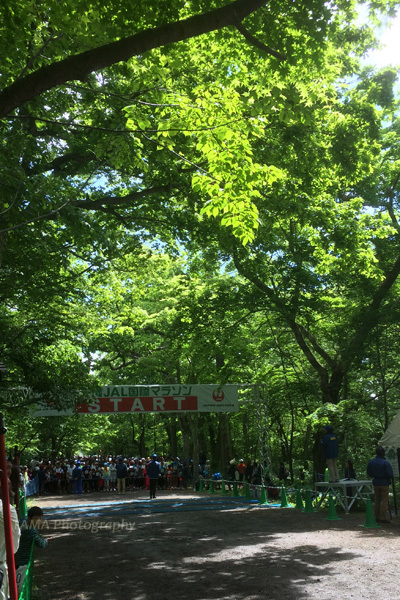 c0024729_19552951.jpg