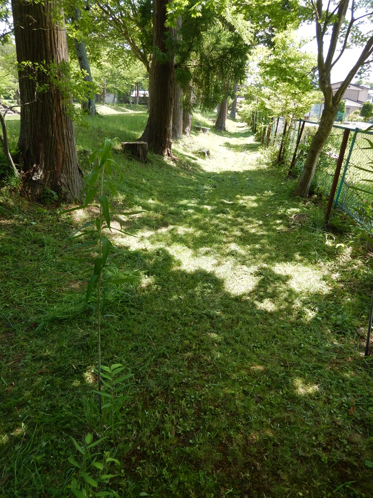 c0111229_19194572.jpg
