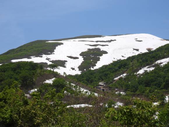 f0118332_028528.jpg