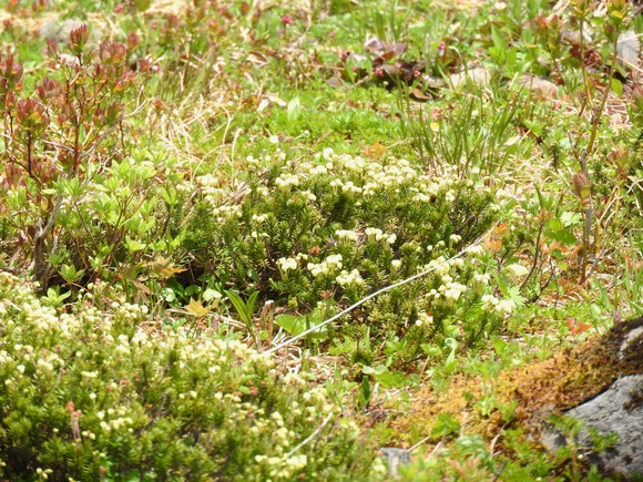 f0118332_0302430.jpg