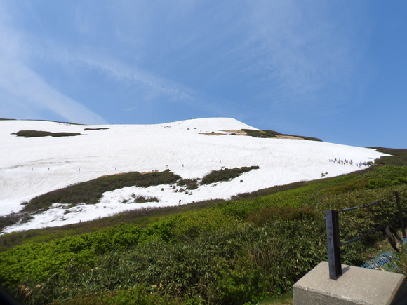f0118332_030810.jpg
