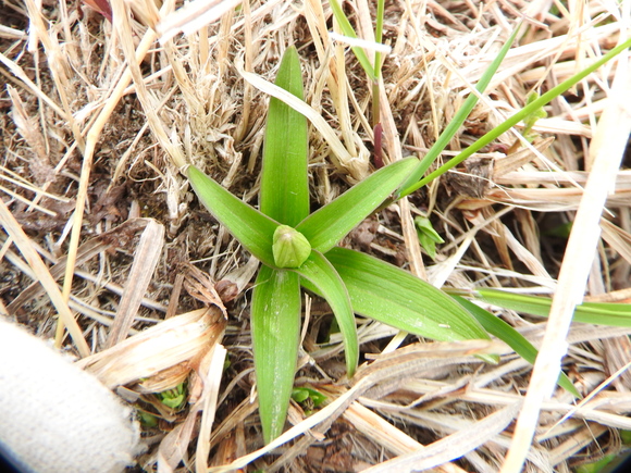 f0118332_0331377.jpg
